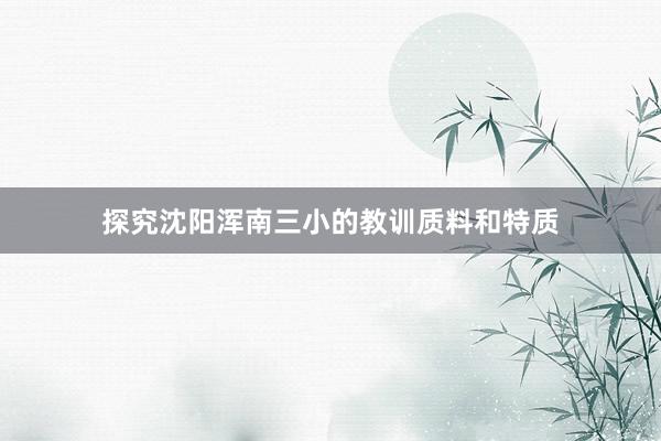 探究沈阳浑南三小的教训质料和特质