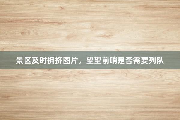 景区及时拥挤图片，望望前哨是否需要列队